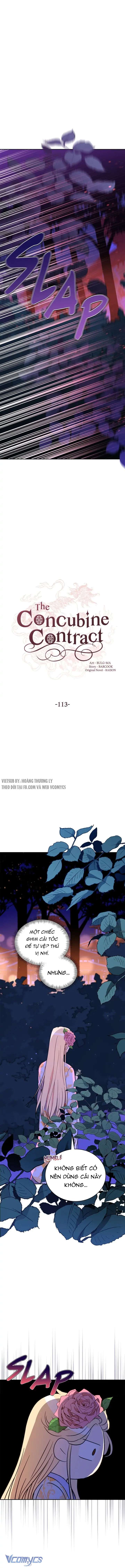 Ái Phi Khế Ước Chap 113 - Trang 4