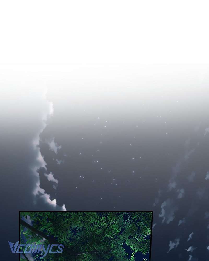 Các Nam Chính Đã Bị Nữ Phụ Cướp Mất Chap 51 - Trang 3