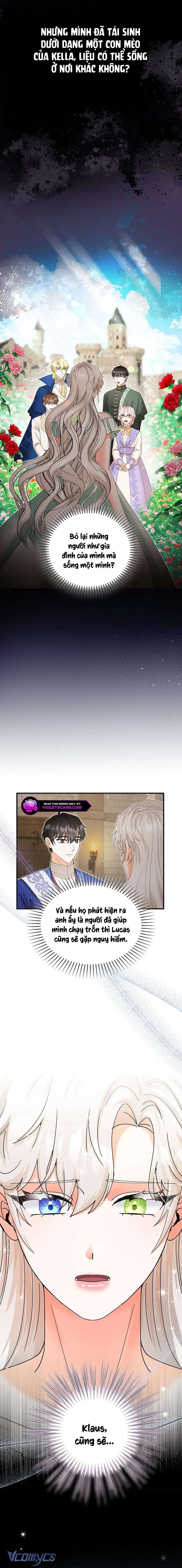 Trở Thành Miêu Nữ Của Hoàng Đế Chap 34 - Trang 4