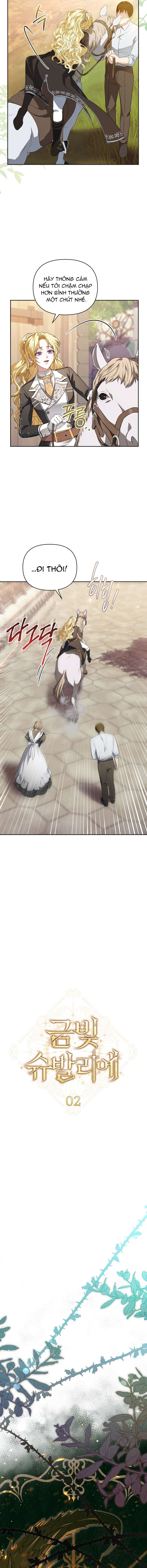 Hiệp Sĩ Vàng Chap 2 - Trang 2