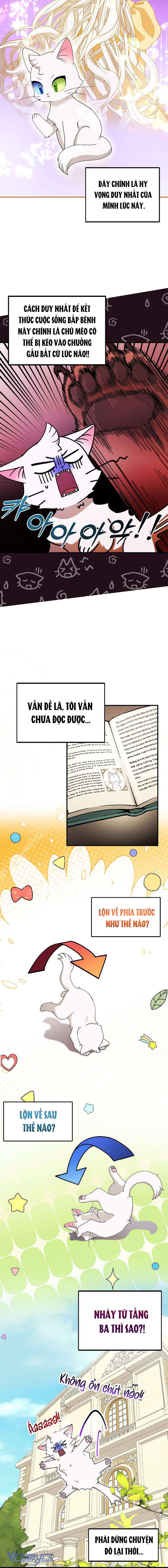 Trở Thành Miêu Nữ Của Hoàng Đế Chapter 2 - Trang 4