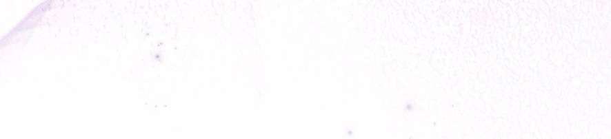 Không Còn Trong Trắng Chap 1 - Trang 2