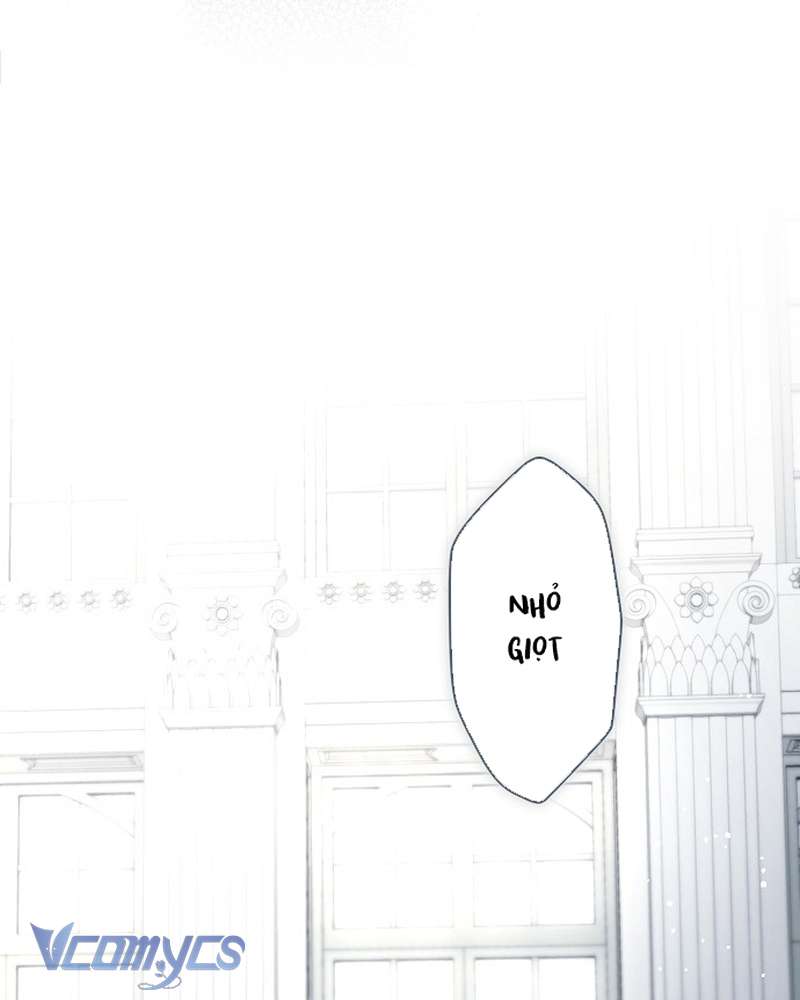 Các Nam Chính Đã Bị Nữ Phụ Cướp Mất Chap 64 - Trang 2