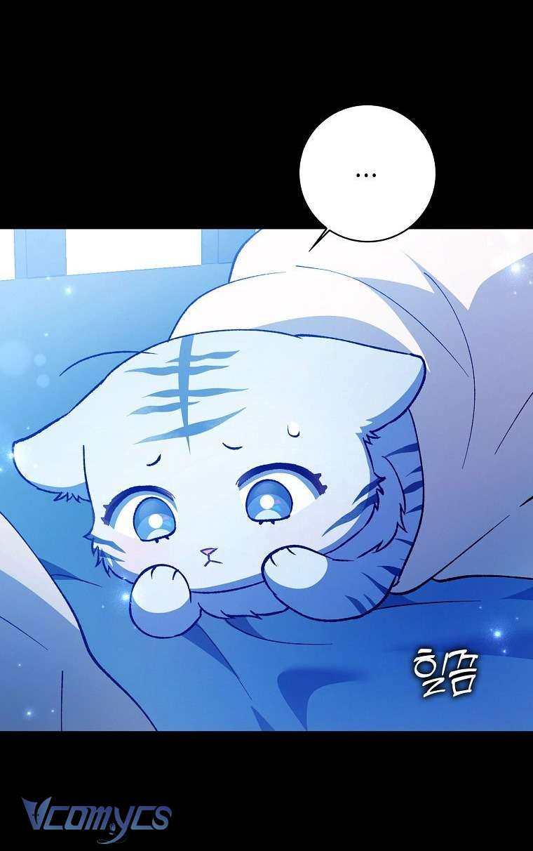 Công Chúa Bạch Hổ Không Có Nguy Hiểm Nha! Chap 1 - Trang 2