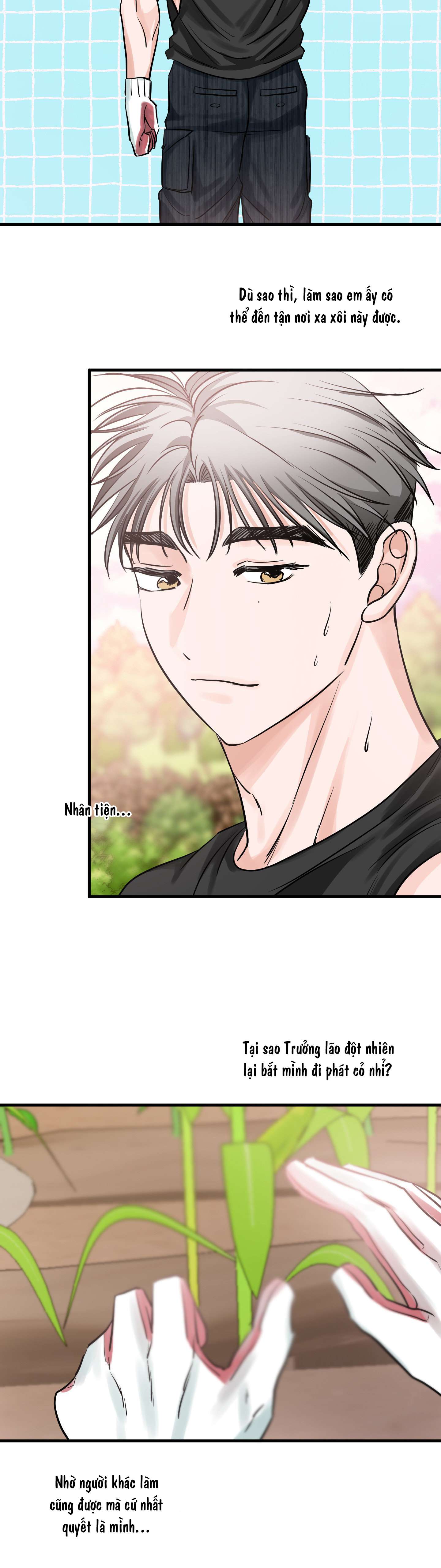 [ 18+ ] Con sói nguy hiểm! Chap 15 - Trang 2