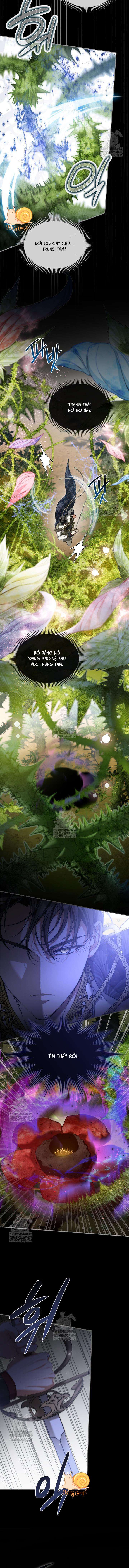 Tôi Đã Đính Hôn Với Vị Công Tước Mù Chap 13 - Trang 2