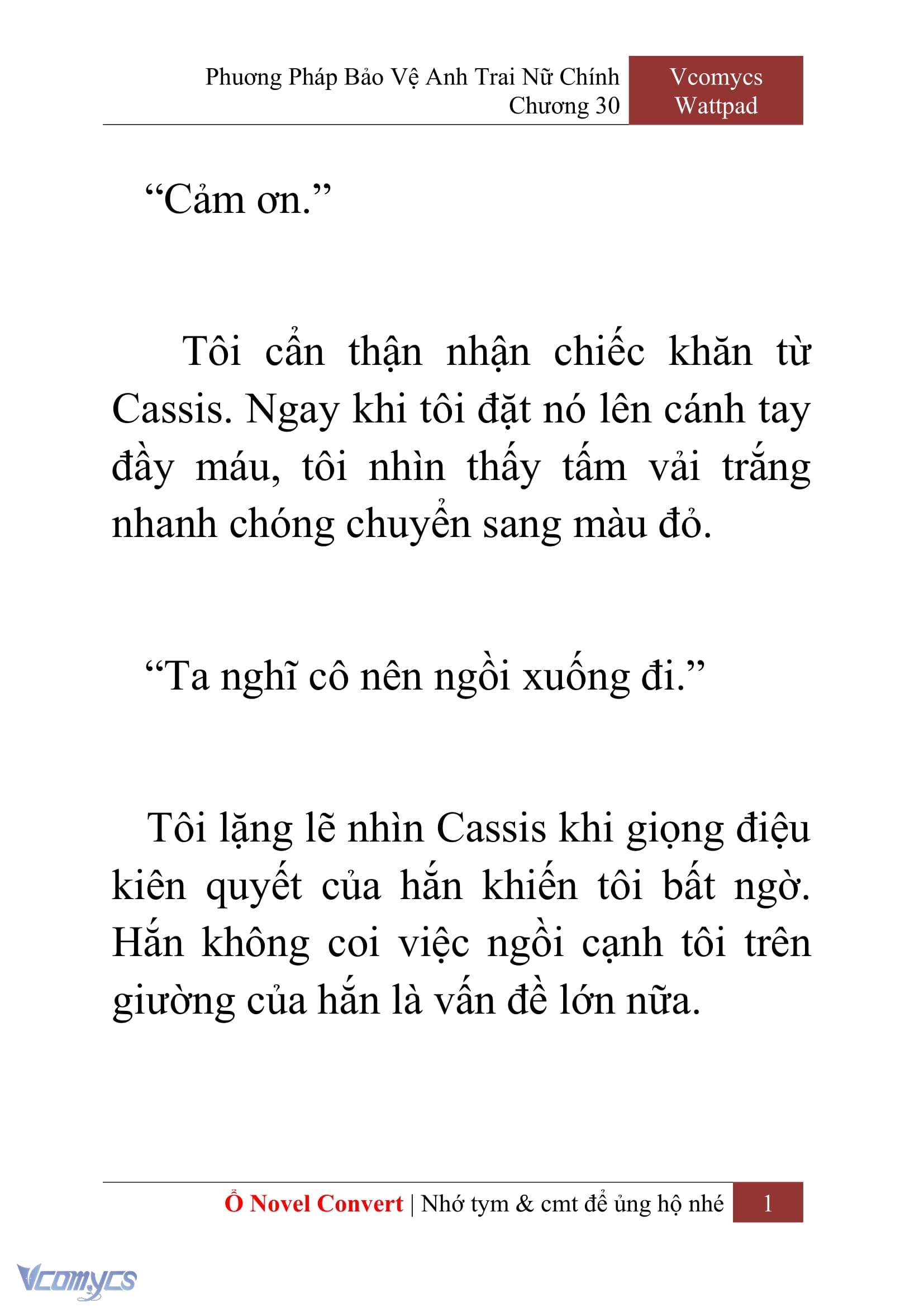 [Novel] Phương Pháp Bảo Vệ Anh Trai Nữ Chính Chap 30 - Trang 2