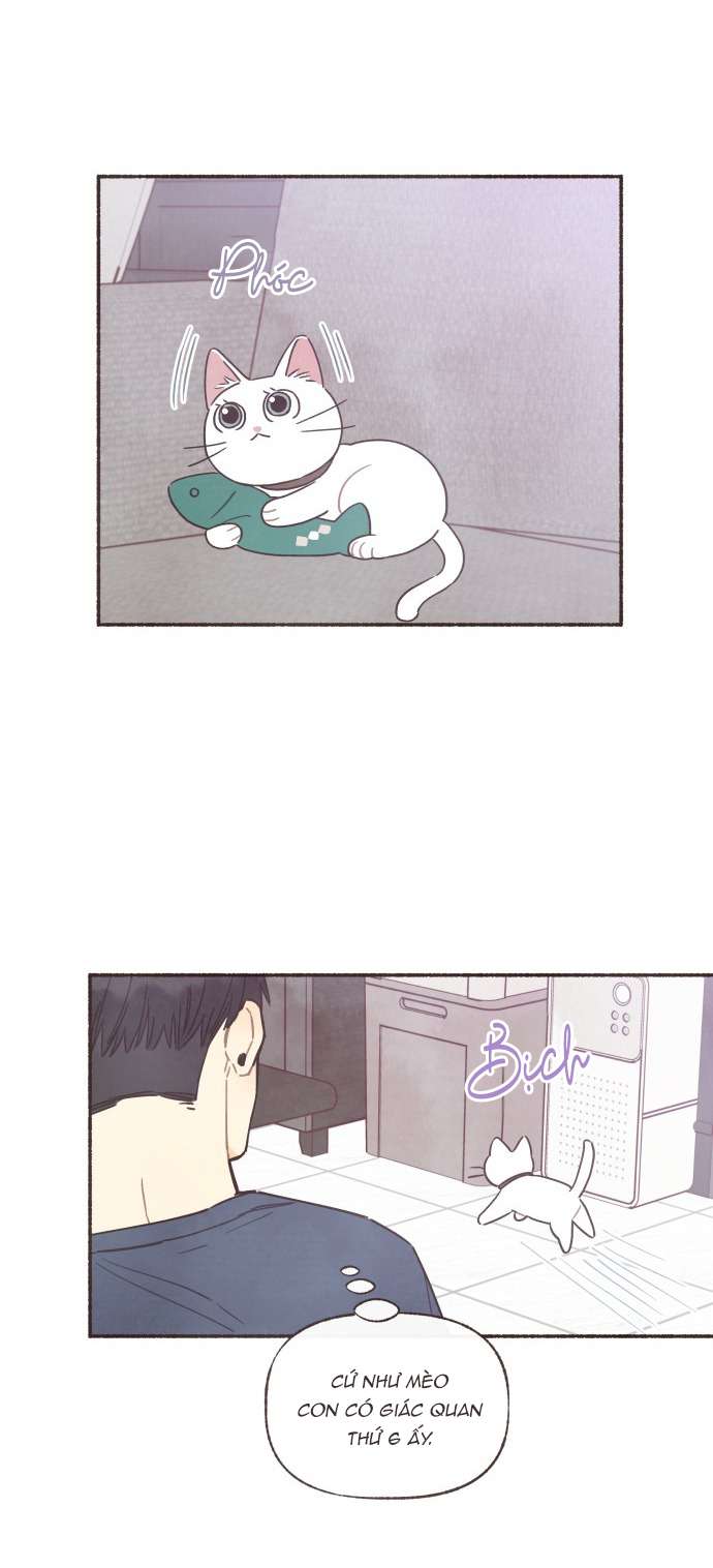 Cảm Xúc Chuyển Giao Chapter 23 - Trang 4