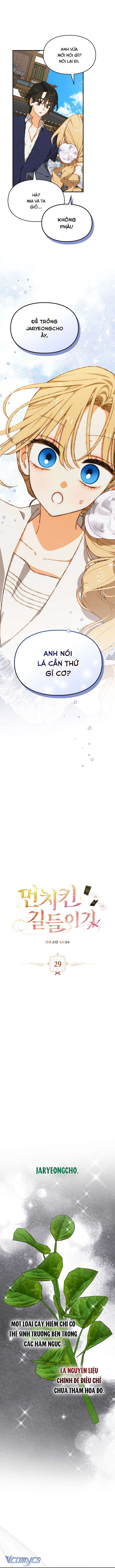 Thuần Hóa Munchkin Chap 29 - Trang 4