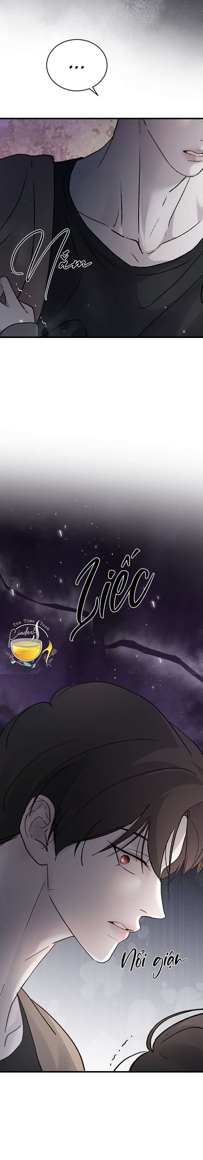 Ba Anh Trai Cực Phẩm Của Tôi Chap 99 - Trang 3