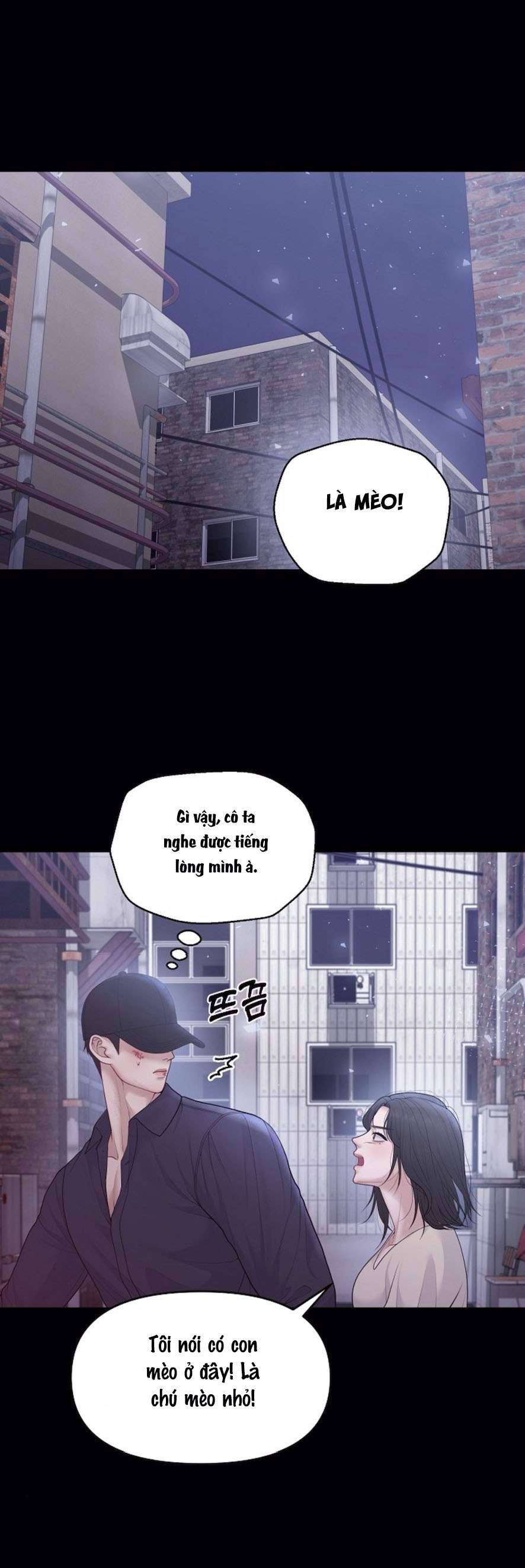 Mang Thai, Chiếm Đoạt Chap 13 - Next Chap 14