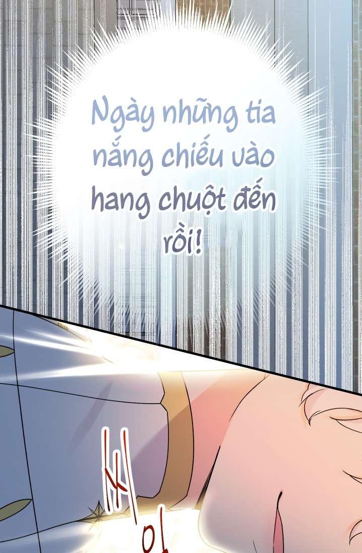 [PNT] Tiểu Thư Tích Tiền Đi Bụi Chap 1 - Trang 2