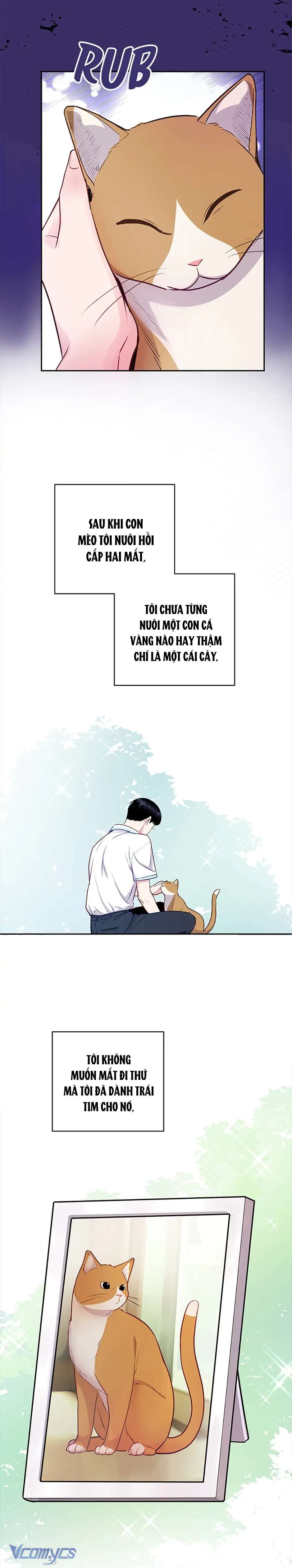 Lời Tỏ Tình Đáng Ngờ Chap 27 - Trang 2