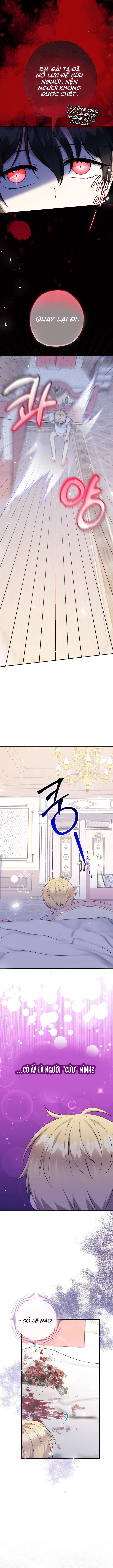 [PNT] Tiểu Thư Tích Tiền Đi Bụi Chap 67 - Trang 2