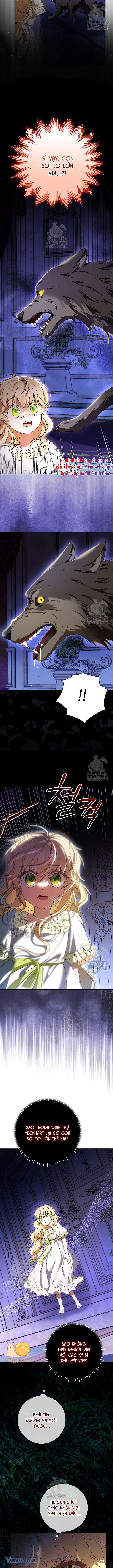 Nàng Chim Được Dinh Thự Sói Yêu Thương Chap 51 - Trang 2