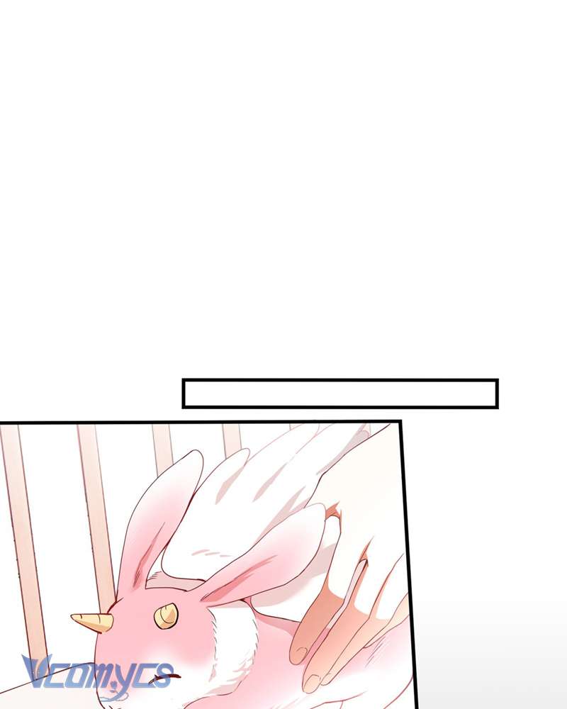 Cô Ấy Sẽ Thuần Hóa Các Anh Hùng Chap 7 - Next Chap 8