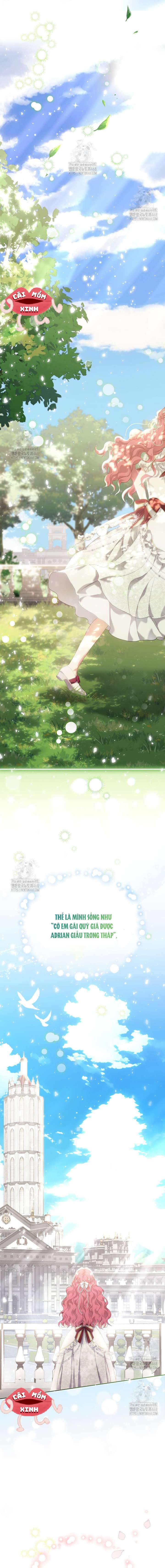 Khi Bị Nam Chính Dịu Dàng Nhưng Cố Chấp Ám Ảnh Chap 2 - Trang 3