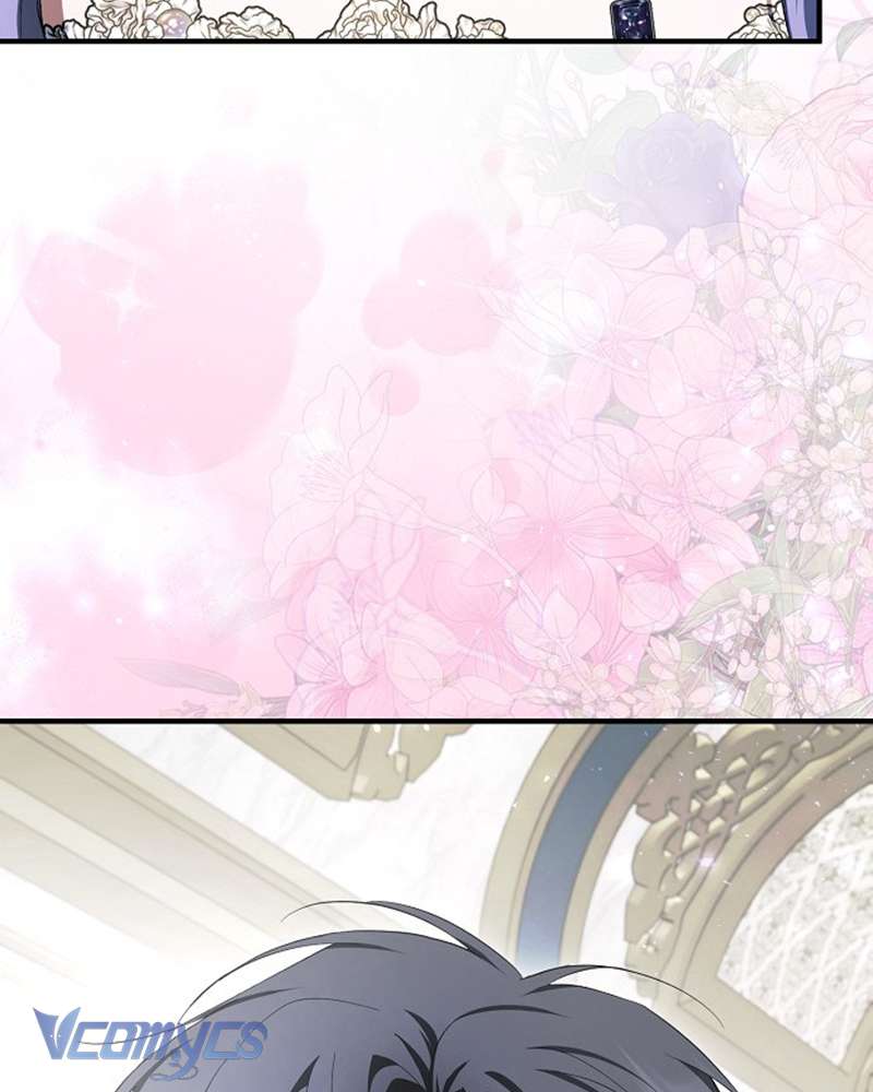 Các Nam Chính Đã Bị Nữ Phụ Cướp Mất Chap 52 - Trang 3