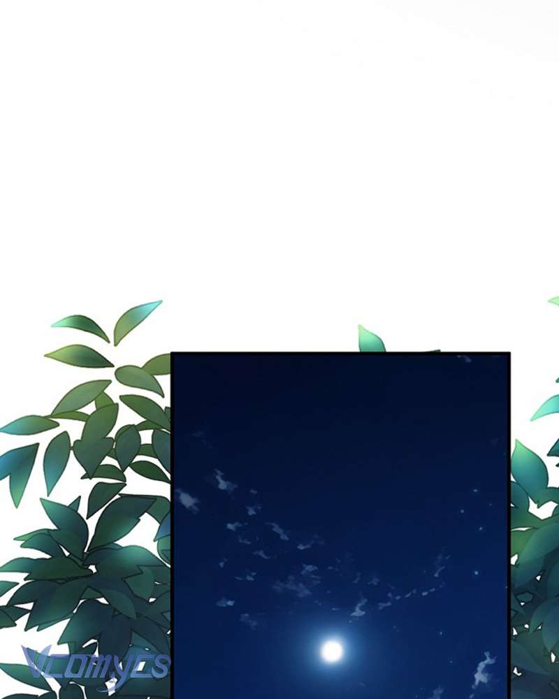 Các Nam Chính Đã Bị Nữ Phụ Cướp Mất Chap 50 - Next Chap 51