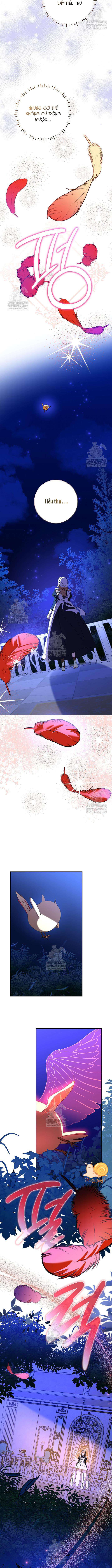 Nàng Chim Được Dinh Thự Sói Yêu Thương Chap 65 - Trang 2