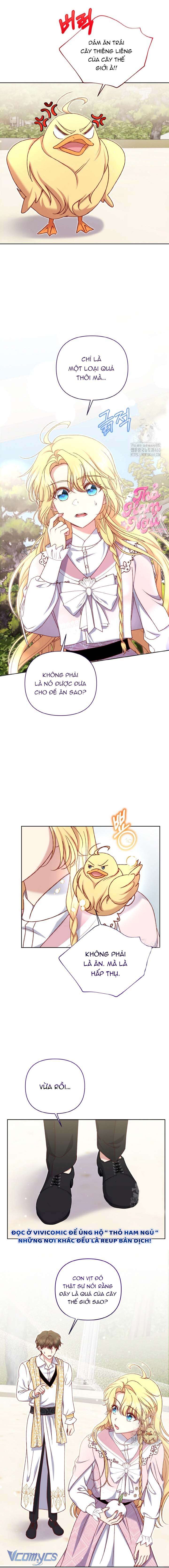 Nàng Vịt Chờ Ngày Hủy Hôn Chap 23 - Trang 2