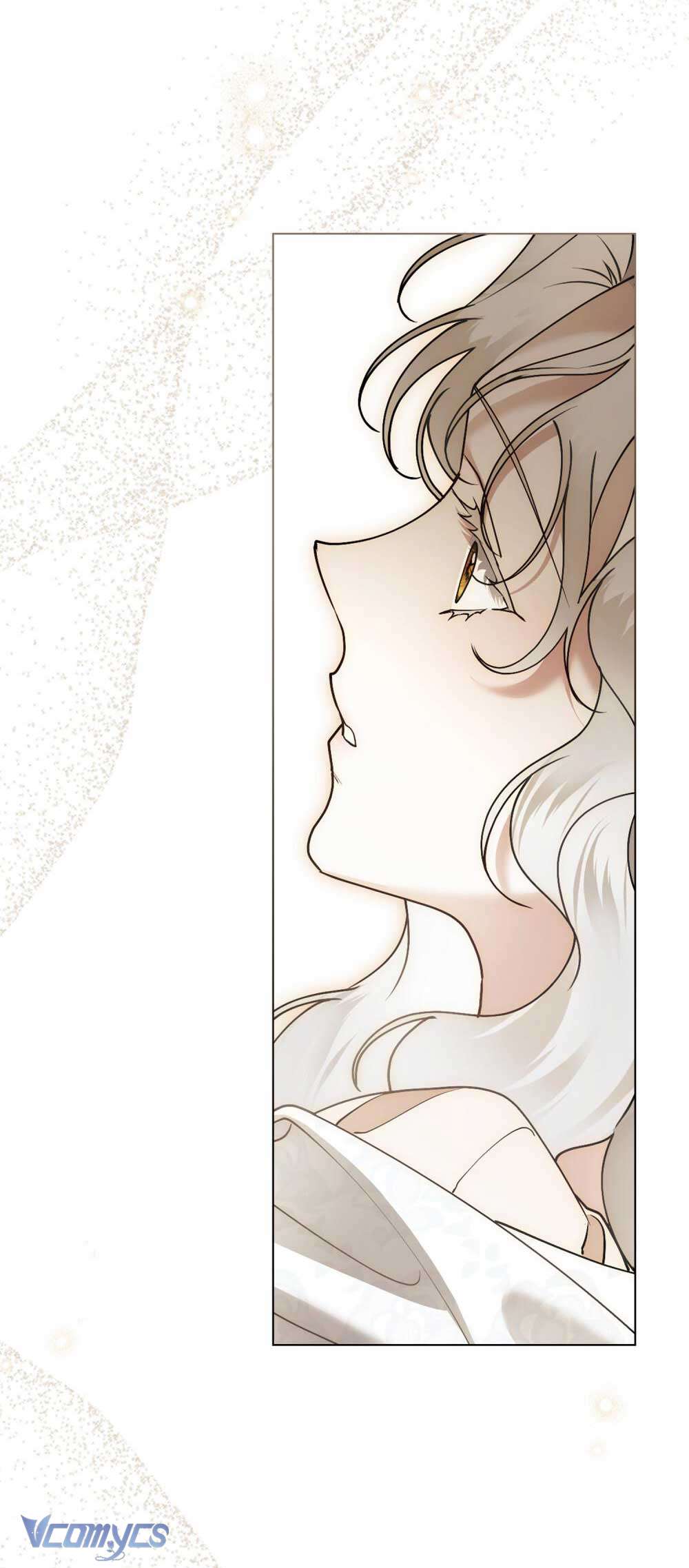 Hôn Nhân Khế Ước Chap 55 - Trang 3