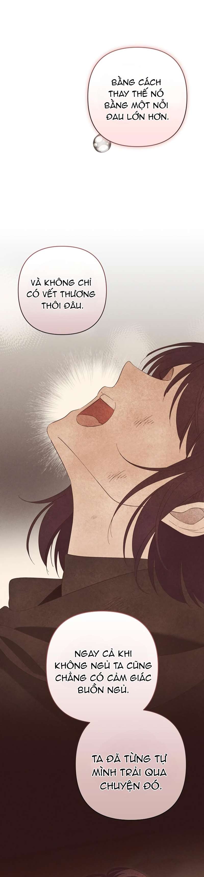 Cô Dâu Của Đại Công Tước Là Chiến Binh Địa Ngục Chap 22 - Trang 3