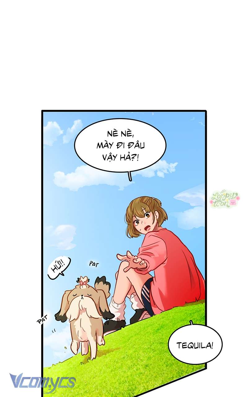 Chú Cún Dạo Bước Cùng Anh Chap 8 - Trang 2