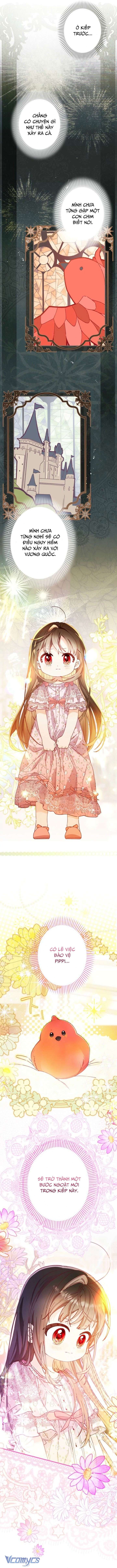 Kiếp Này Em Sẽ Không Sống Dưới Cái Bóng Của Người Chị Song Sinh Chap 11 - Trang 3