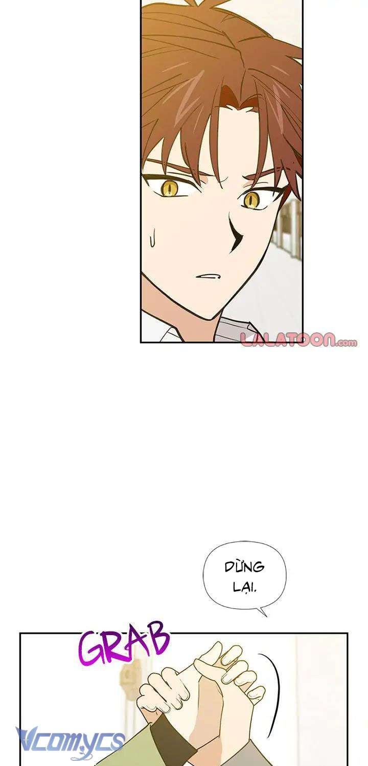 Điều Ước Sao Băng Chap 56 - Trang 4