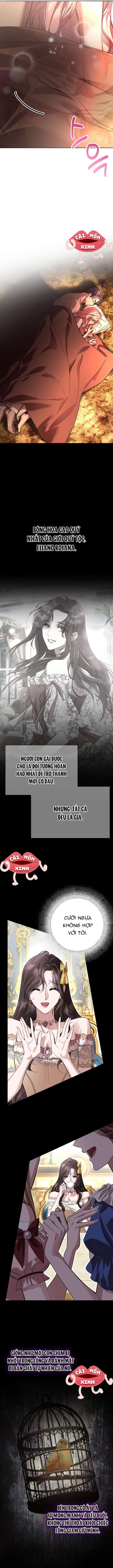 Cuộc Hôn Nhân Bị Bắt Cóc Xuyên Thời Gian Của Hoàng Hậu Chap 33 - Trang 2