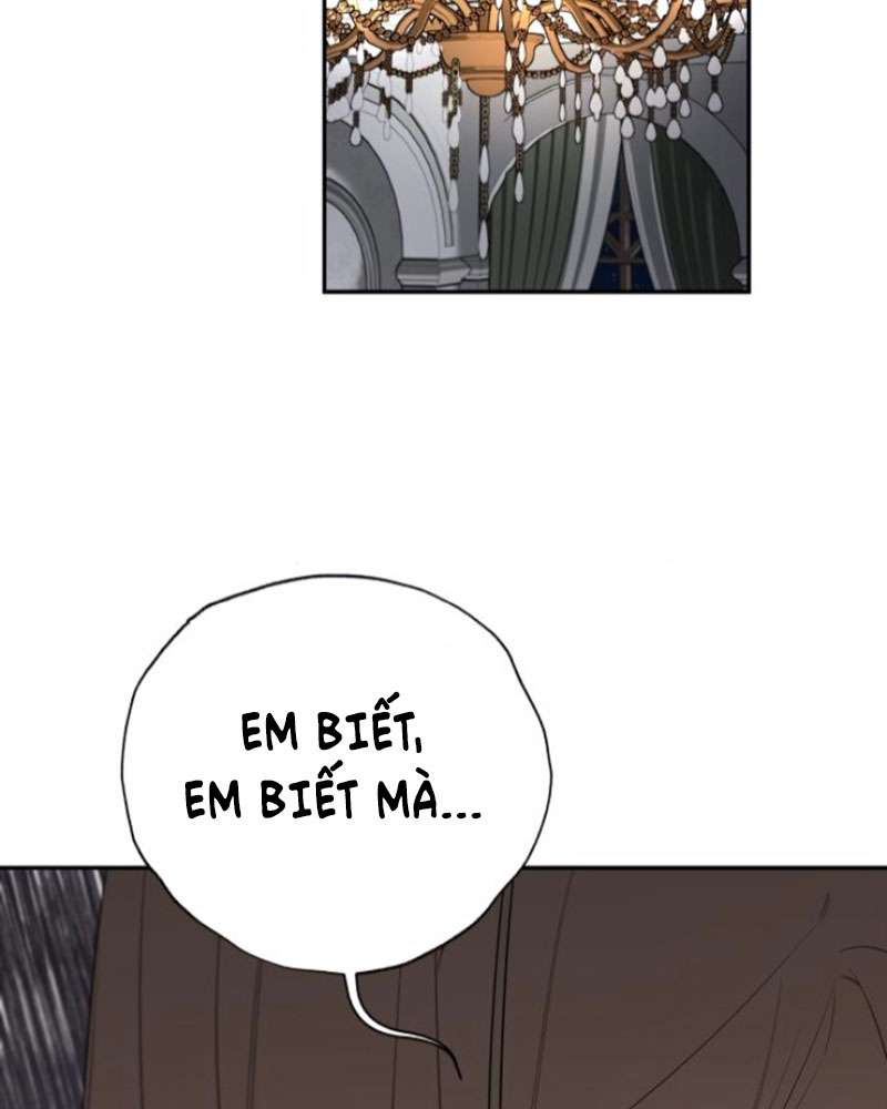 Trận Đấu Đồng Đội Của Những Tài Xế Xe Tải Chap 38 - Trang 4