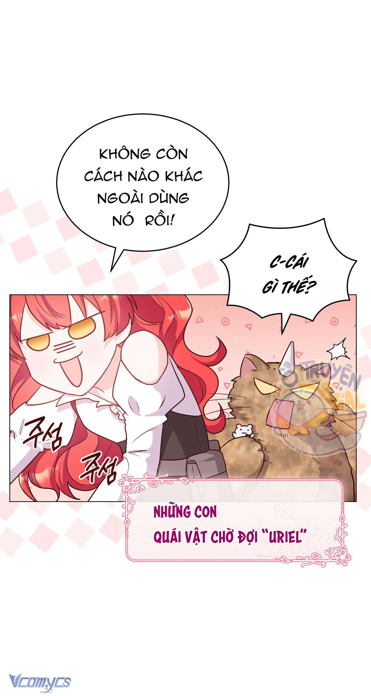 Kết Thúc Viên Mãn Không Cần Tình Yêu Chap 2 - Trang 3