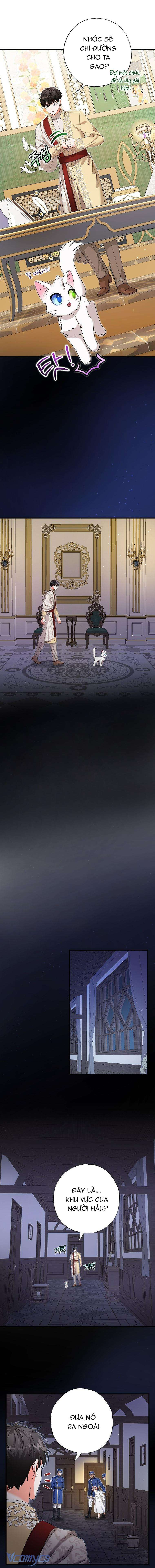 Trở Thành Miêu Nữ Của Hoàng Đế Chapter 17 - Trang 4