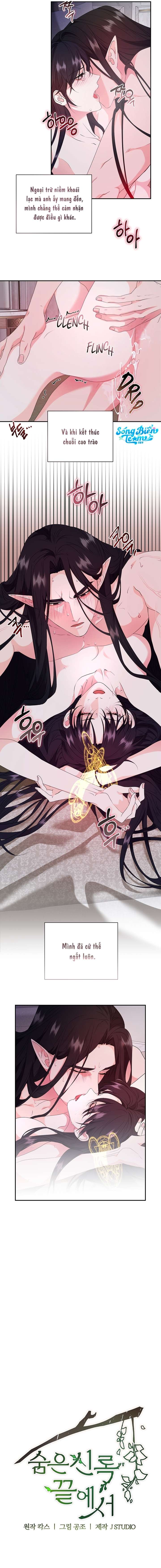 [ 18+ KHÔNG CHE ] Tại nơi ẩn mình cuối cùng của sắc xanh Chap 13 - Next Chap 14