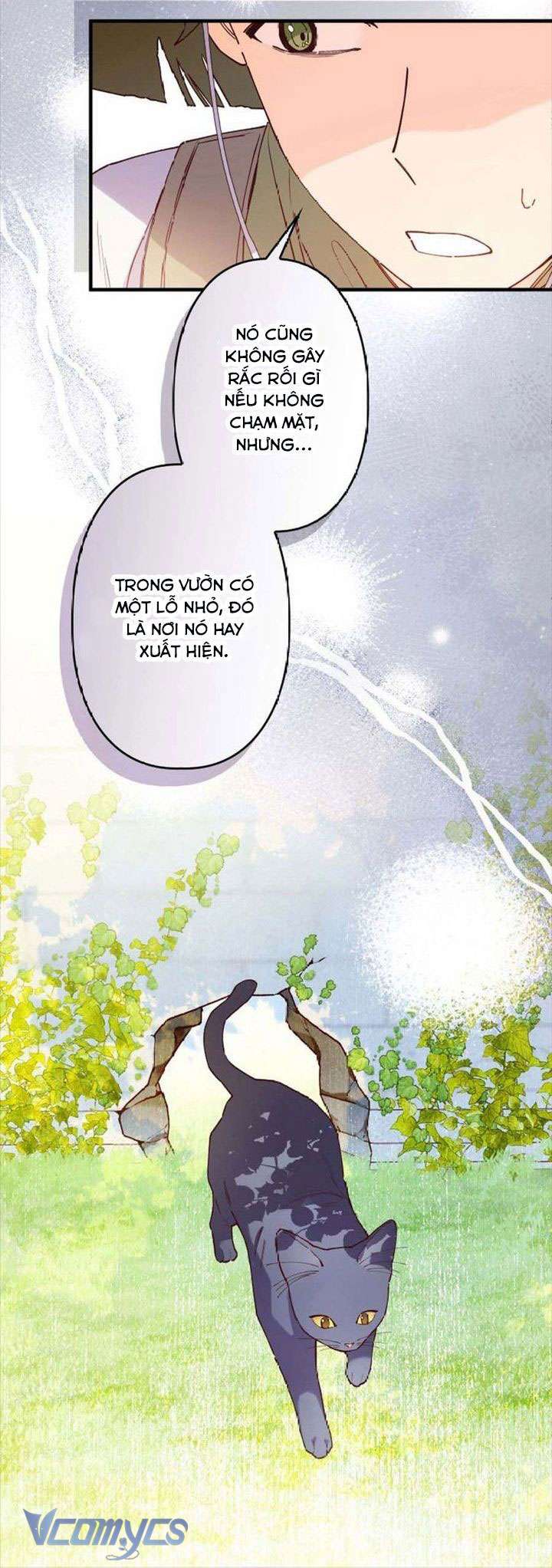 Kiếp Này Em Sẽ Không Sống Dưới Cái Bóng Của Người Chị Song Sinh Chap 9 - Trang 3