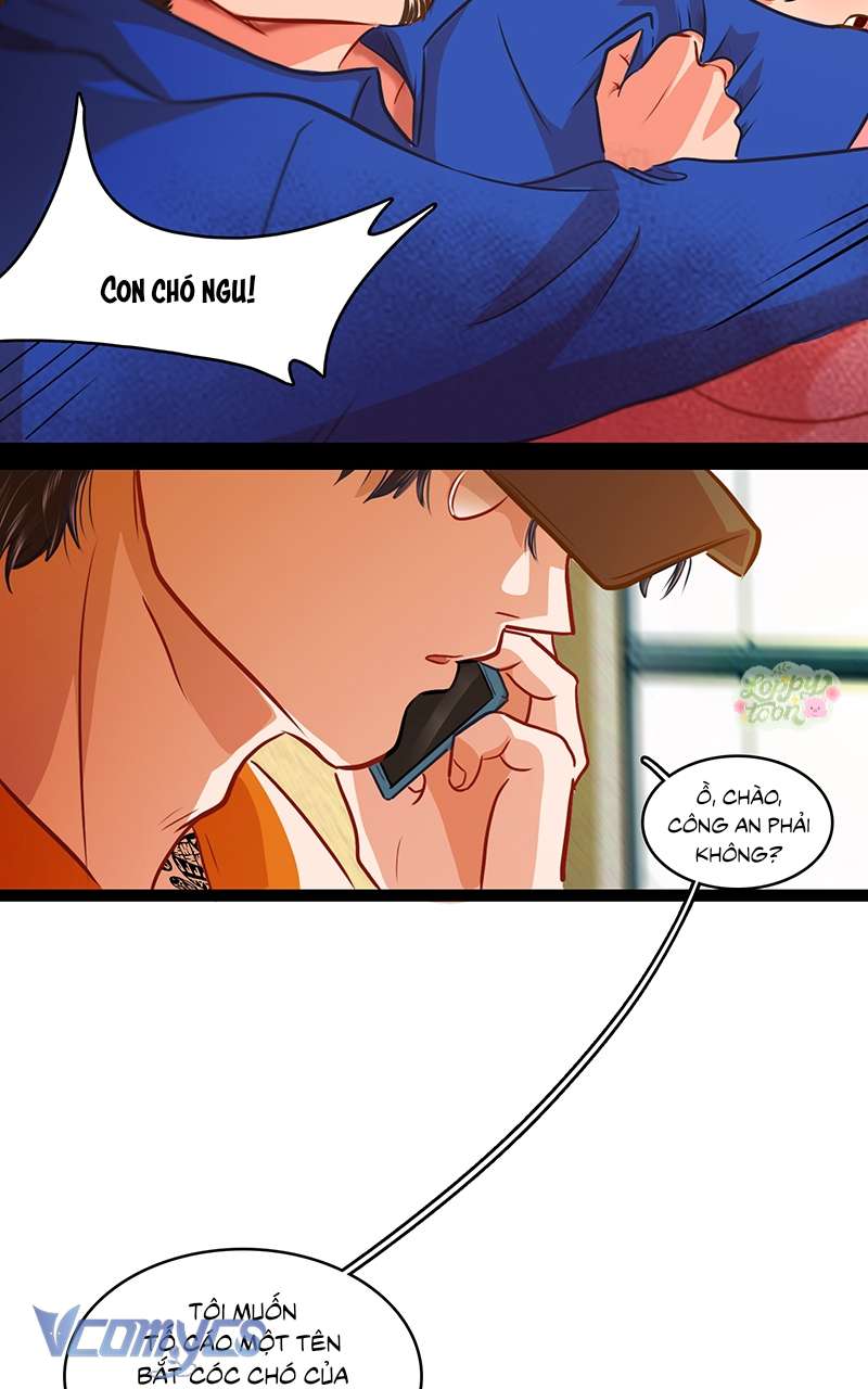 Chú Cún Dạo Bước Cùng Anh Chap 9 - Trang 2