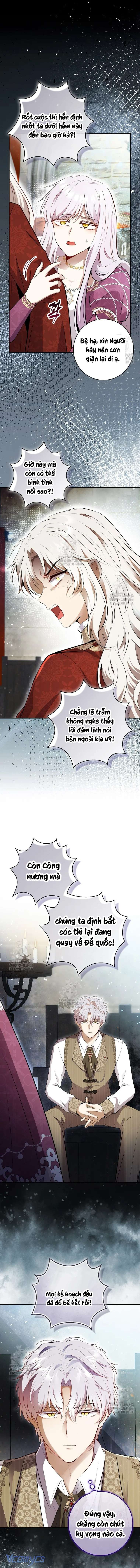 Sóc Con Tài Năng Chap 113 - Trang 2