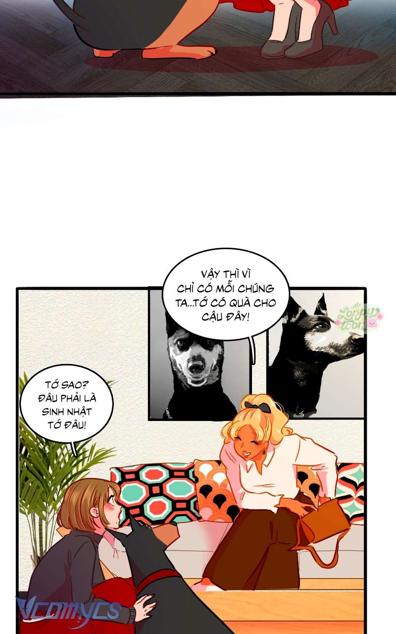 Chú Cún Dạo Bước Cùng Anh Chap 7 - Trang 2