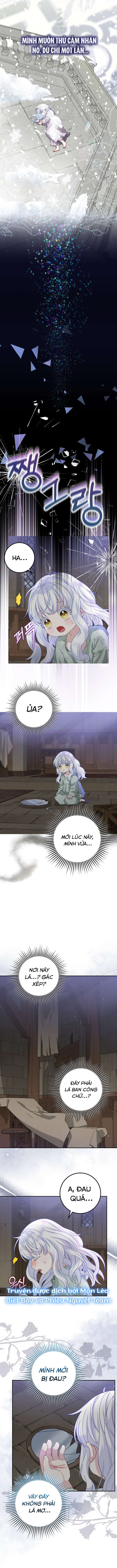 Tiểu Thư Báo Tuyết Của Gia Tộc Báo Đen Chapter 1 - Trang 3