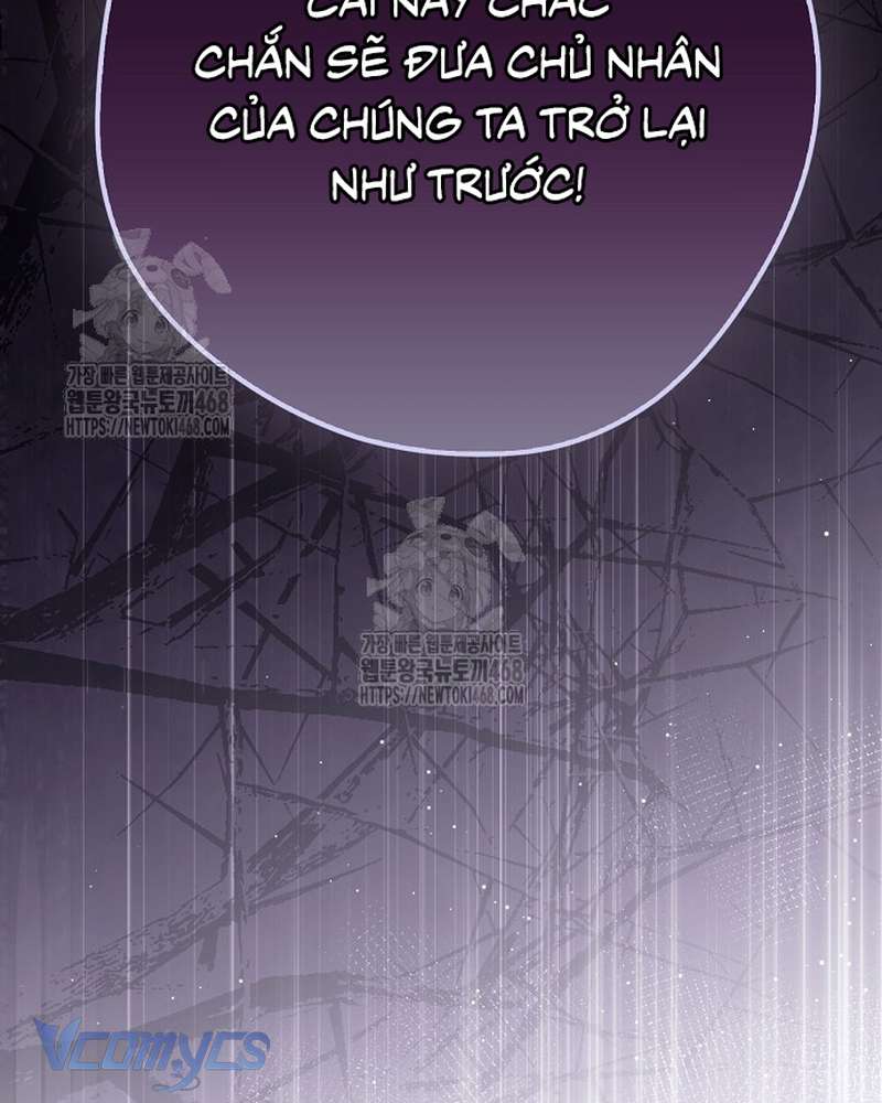 Các Nam Chính Đã Bị Nữ Phụ Cướp Mất Chap 66 - Trang 2