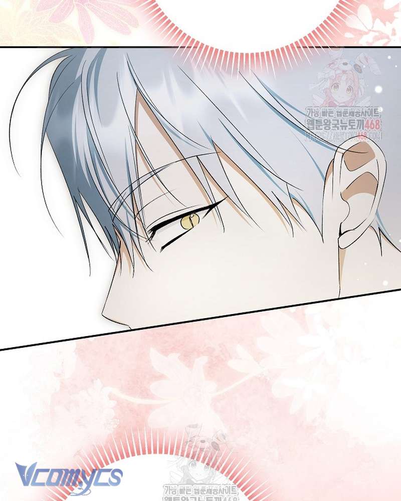 Các Nam Chính Đã Bị Nữ Phụ Cướp Mất Chap 62 - Trang 2