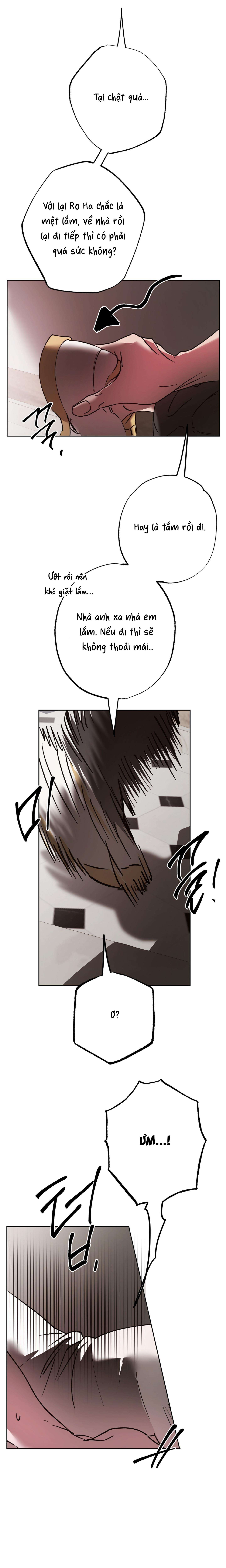 [ 18+ ] Tình Yêu Thuần Khiết Rốt Cuộc Là Gì Thế?! Chap 27 - Trang 2