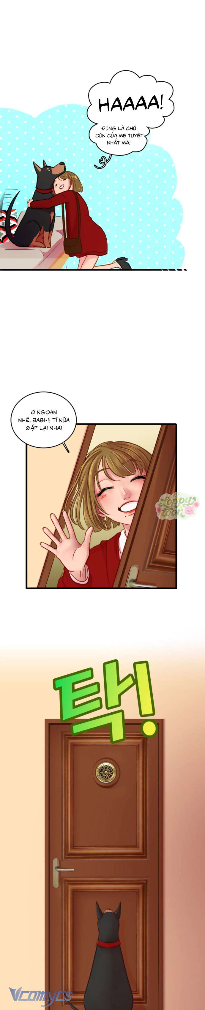 Chú Cún Dạo Bước Cùng Anh Chap 1 - Trang 2