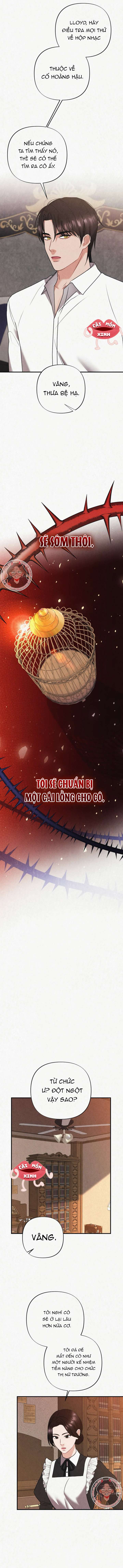 Tù Binh Trong Mơ Tù Binh Trong Mơ-Chap 13 - Next Tù Binh Trong Mơ-Chap 14