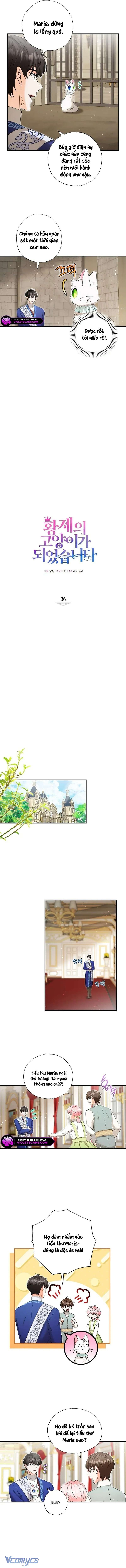 Trở Thành Miêu Nữ Của Hoàng Đế Chap 36 - Trang 4