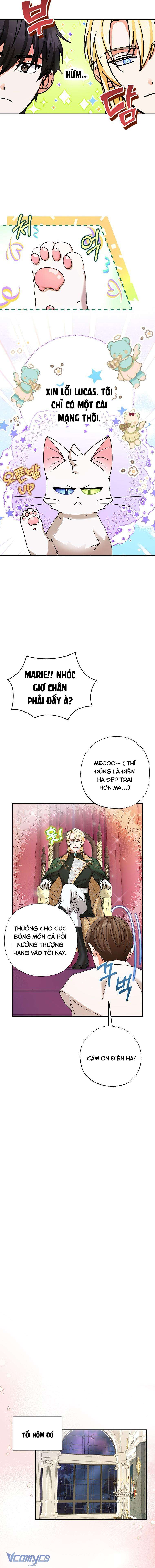 Trở Thành Miêu Nữ Của Hoàng Đế Chapter 6 - Trang 4