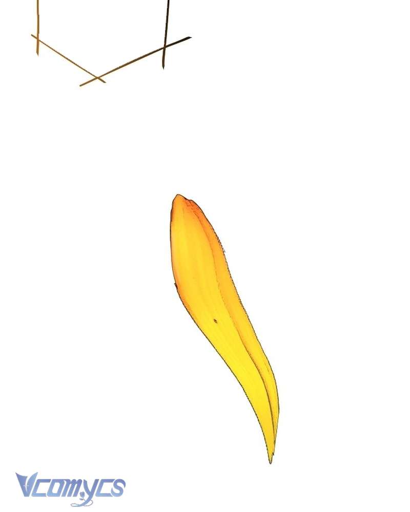 Hãy Dạy Em Cách Khao Khát Chap 30 - Trang 2