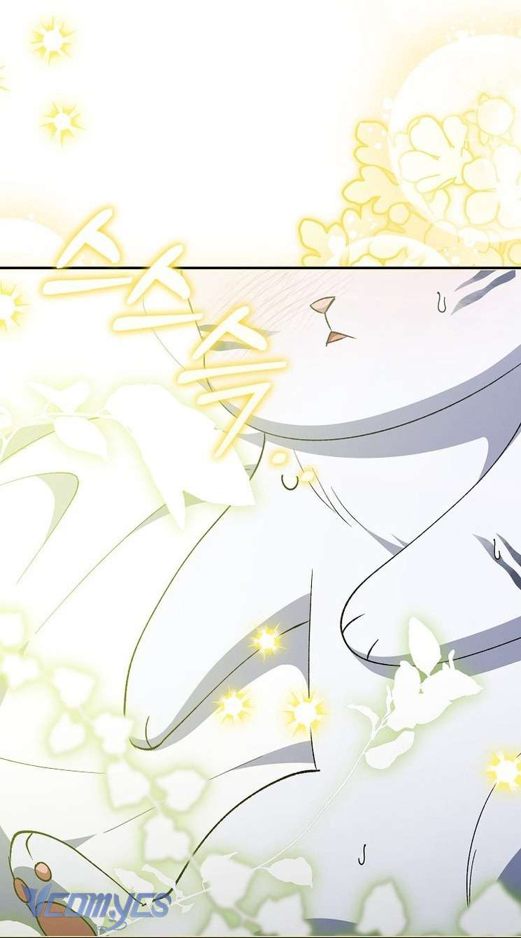 Công Chúa Bạch Hổ Không Có Nguy Hiểm Nha! Chap 9 - Trang 2