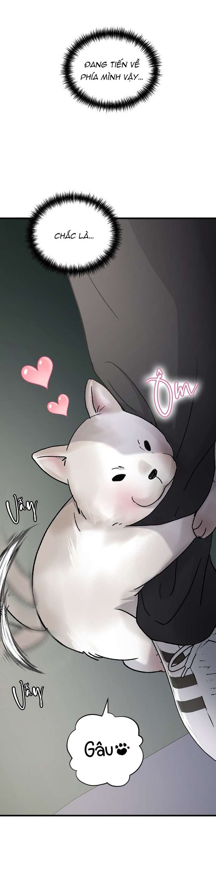 Ba Anh Trai Cực Phẩm Của Tôi Chap 98 - Trang 3